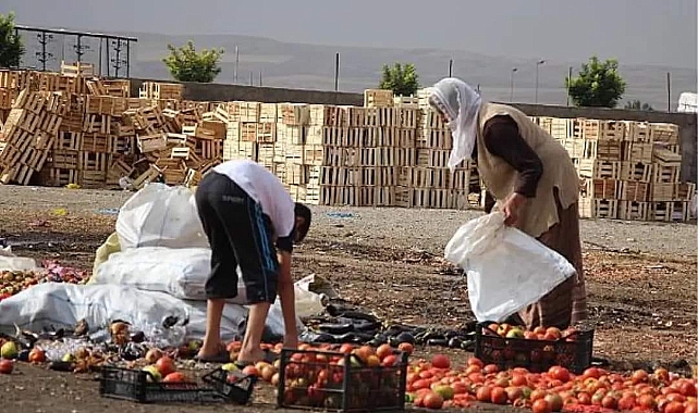 Türkiye'nin en yoksul kentleri Ağrı, Kars, Iğdır ve Ardahan oldu!