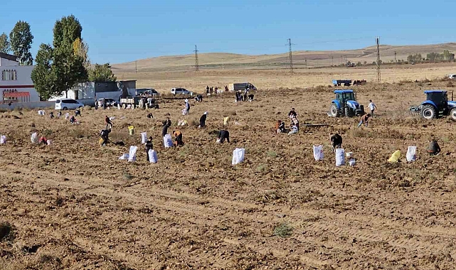 Vatandaşlara bedava patates dağıtıldı