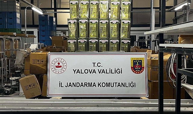 Yalova'da sahte zeytinyağı operasyonu