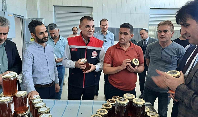 Yeni hasat ballar paketlenmeye başladı