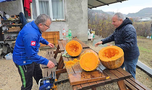 40 kiloluk dev kabağı motorlu testereyle kesebildi