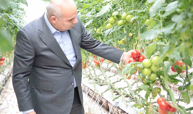 Ağrı Valisi, jeotermal sera alanında incelemelerde bulundu