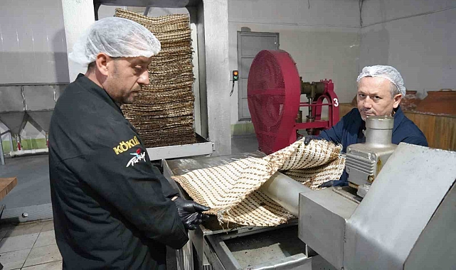 Atalarından kalan 100 yıllık zeytinyağı üretim sistemini restore ederek taş baskı zeytinyağı üretimi yapıyor
