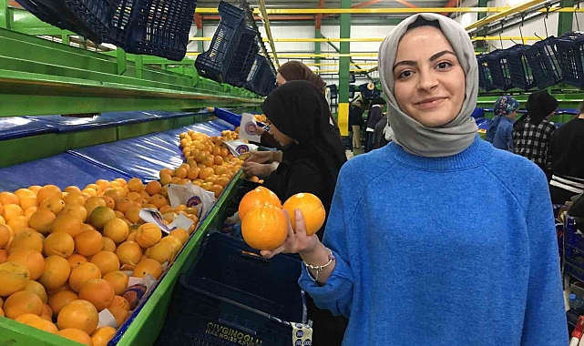 Aydın'da Narenciyede ihracat hızlandı