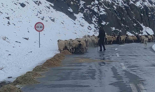 Besicilerin zorlu kış mesaisi başladı