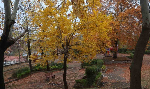 Beyazın ve sonbaharın güzellikleri bir arada