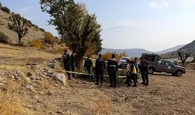 Budama yaptığı sarada ağaçtan düşen yaşlı adam, hayatını kaybetti
