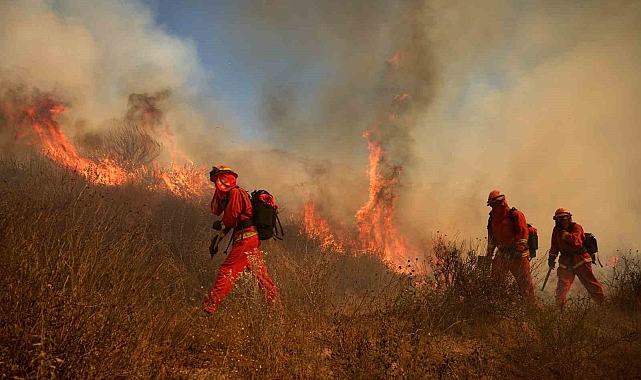 California'da 20 bin dönümlük alana yayıldı