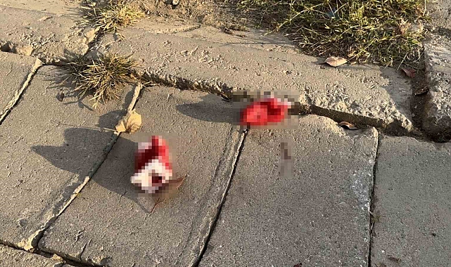 Cinnet geçiren bir genç annesini öldürürken, aynı aileden 4 kişiyi de yaralandı
