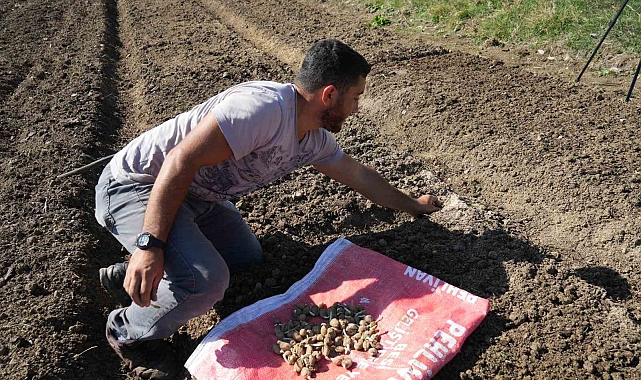 Çocukken yaylalardan topladığı salebin yetiştiriciliğine başladı