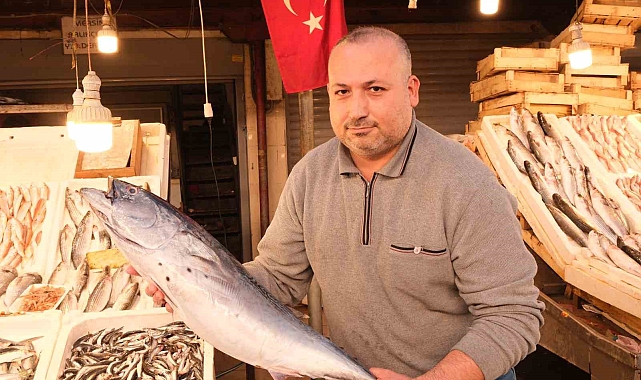 Dev balık bin 500 liradan alıcı buldu