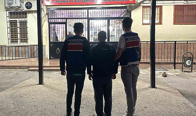 Göçmen kaçakçılığı operasyonunda 1 organizatör yakalandı