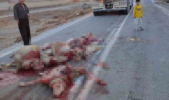Hafriyat kamyonu sürüye çarptı