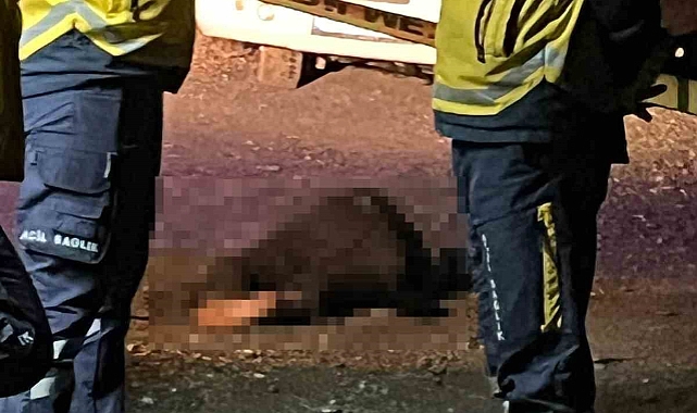 Iğdır'da tartıştığı arkadaşını silah kabzayla öldürdü