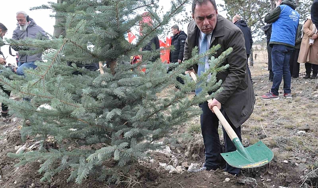 Kars'ta 11 bin 500 fidan toprakla buluştu