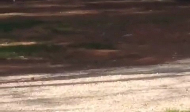 Park halindeki otomobil alev aldı