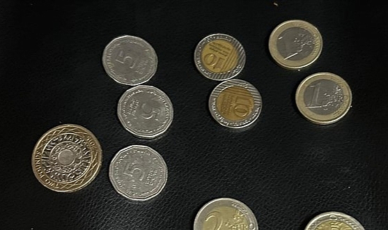 Sahte madeni Euro basan şebeke çökertildi
