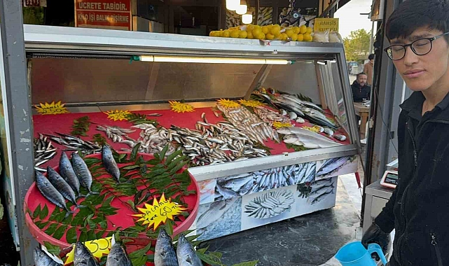 Tekneler Karadeniz'e açıldı