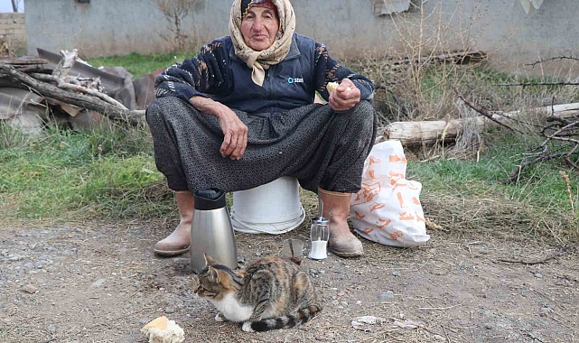Türkiye'ye örnek olan Dilber nine çok arzuladığı konteynere kavuştu