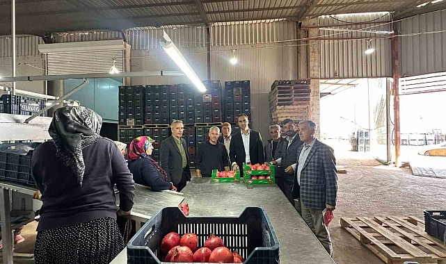 Üretilen narlar ihracat için paketlenerek depolanıyor