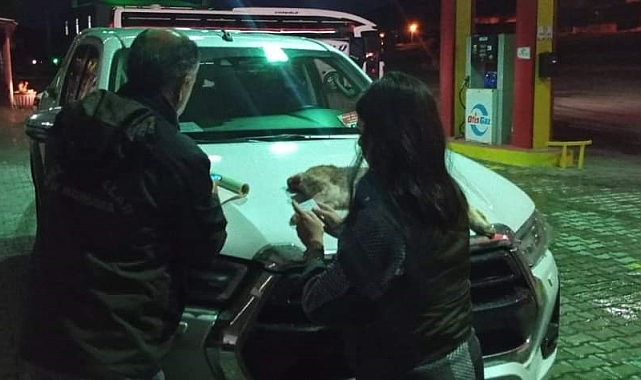 Yasadışı avlanan şahsa 11 bin lira caza