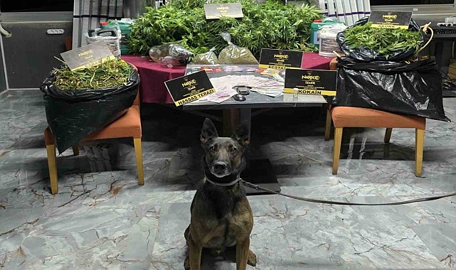 Zehir tacirlerine 'Rex'li baskın