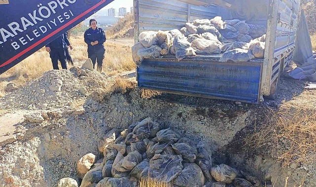 4 ton sakatat imha edildi