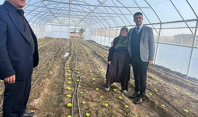 65 yaşındaki kadın devlet desteğiyle sera kurdu