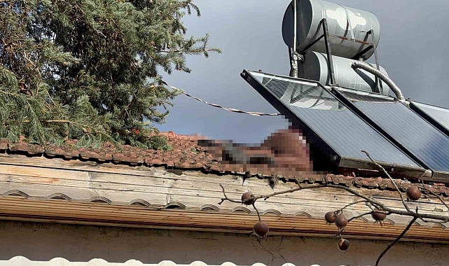 Ağacın dallarını kesmek için çatıya çıkan yaşlı adam düşerek hayatını kaybetti