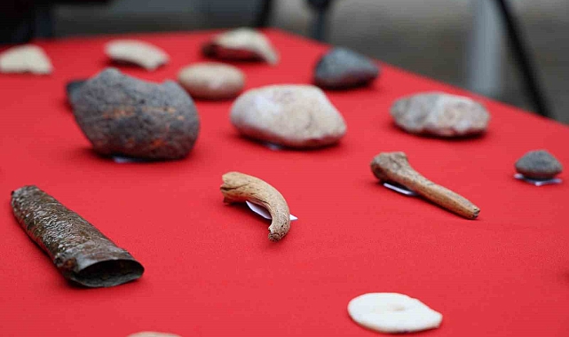 Amida Höyük'teki Tarihi Keşifler: 10 Bin Yıllık Bir Medeniyetin İzleri