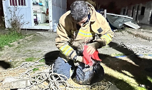 Antakya'da Kuyuda Mahsur Kalan Yavru Köpek Kurtarıldı