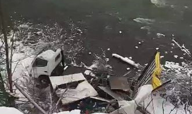 Artvin-Şavşat Yolu'nda Meyve Yüklü Kamyon Devrildi: 1 Yaralı