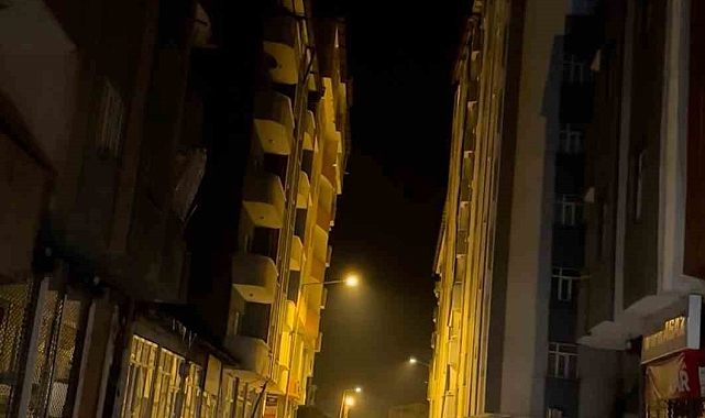 Başıboş eşekler görenleri gülümsetti