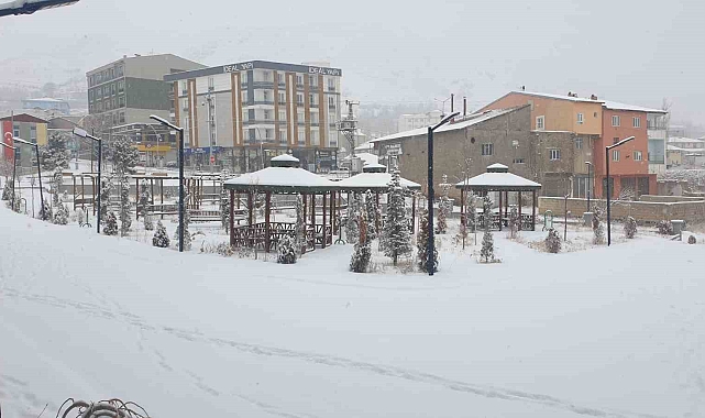 Başkale'de Kar Yağışı Hayat Felç Etti: Ulaşım Kilitlendi, Sürücüler Zor Anlar Yaşadı