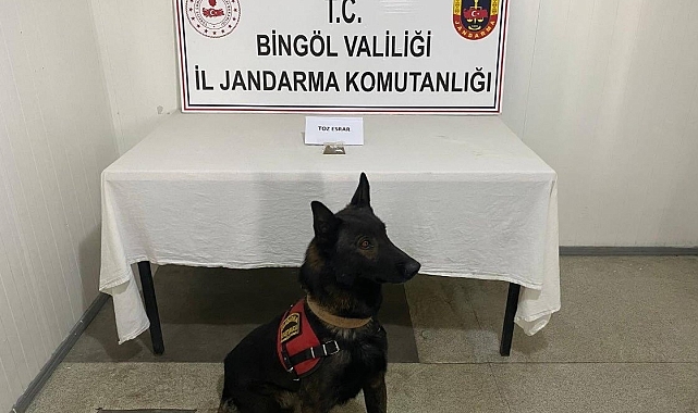 Bingöl'de, esrar maddesi ve tabanca ele geçirilirken aranan 5 şüpheli yakalandı