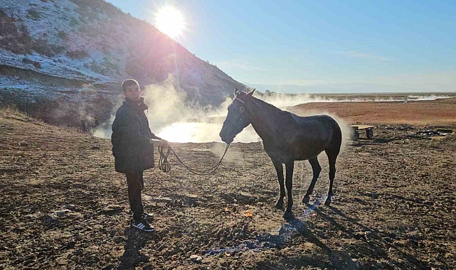 Bitlis'in Gizli Zengini: Kaplıcada Yıkanan Atlar