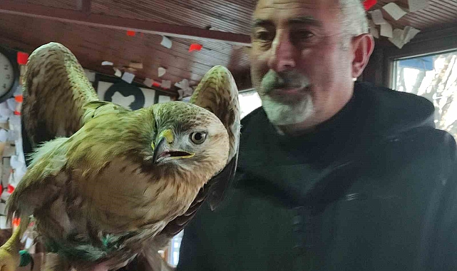 Çıldır'da bulunan yaralı kızıl şahin tedavi altına alındı