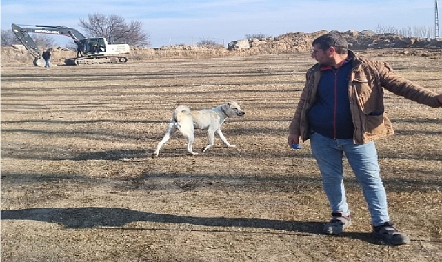 Çoban Yaşar Otağ ve Köpeği Corco'nun Güçlü Bağları