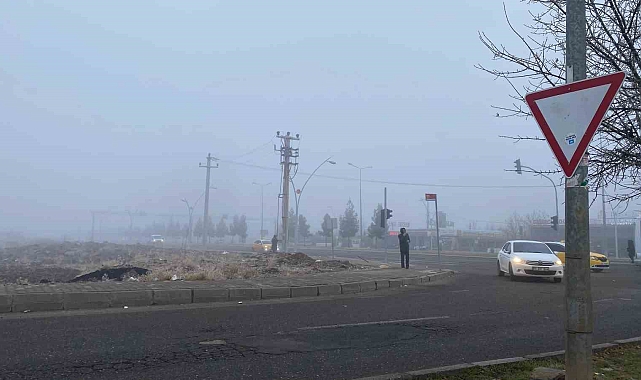 Diyarbakır'da Sis Felaketi: Uçak Seferleri İptal, Yaşam Durma Noktasına Geldi