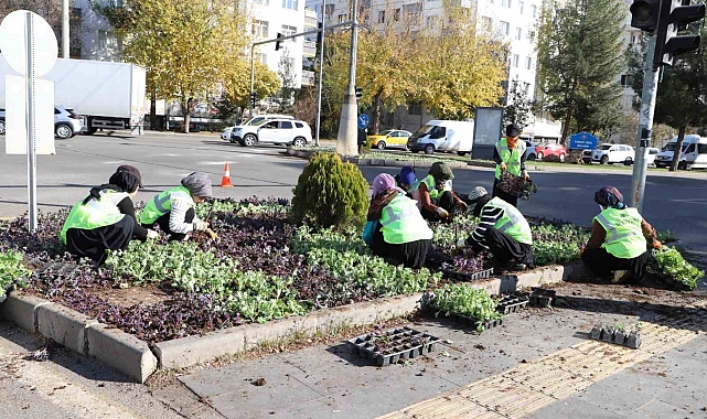 Diyarbakır'da Yeşil Bir Dönüşüm: Büyükşehir Belediyesi'nin Çalışmaları