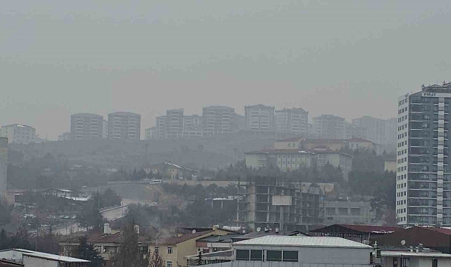 Elazığ'da, sis etkili oldu