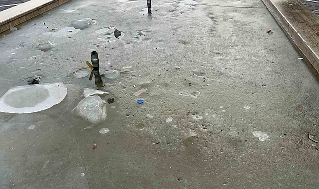 Elazığ'da soğuk hava ve don etkili oldu, süs havuzları buz tuttu