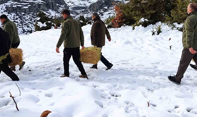 Elazığ'da Yaban Hayvanları Kışın Unutulmadı: 850 Kilo Yemle Yaşam Mücadelesi Desteklendi