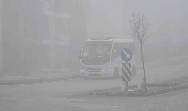 Elazığ'da yoğun sis etkili oldu