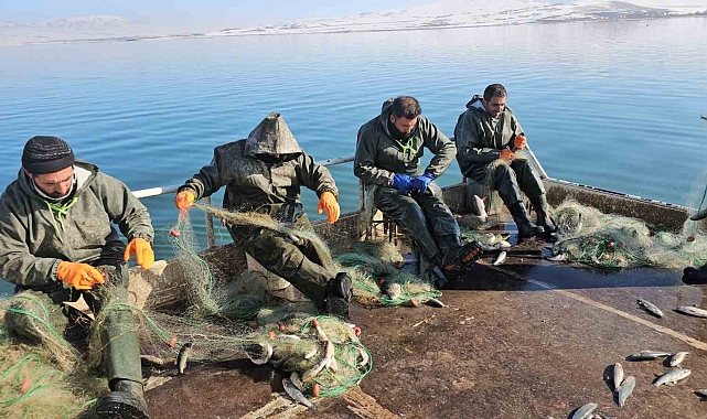 Erçek Gölü'nde İnci Kefali Avı Tam Gaz Devam Ediyor