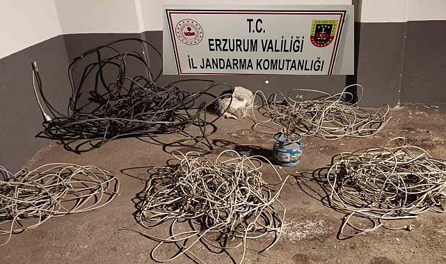 Erzurum'da Kablo Hırsızlığına Baskın: 2 Şüpheli Tutuklandı