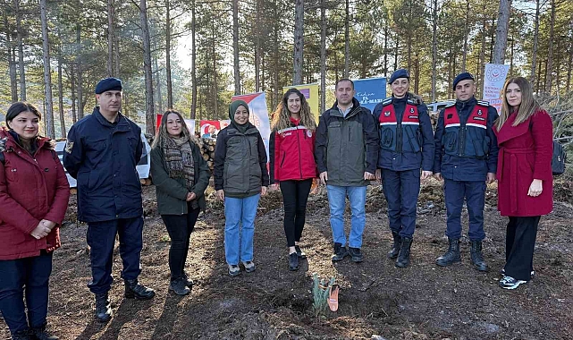 Fidanlar, kadına şiddete karşı toprakla buluştu