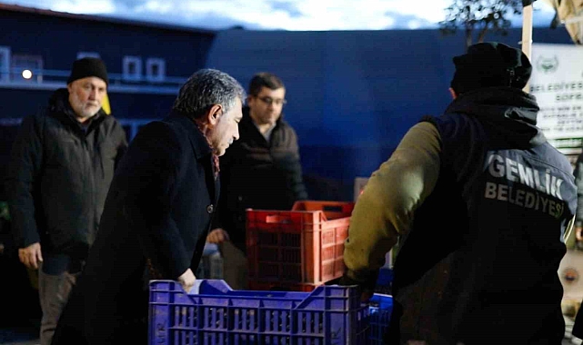 Gemlik Belediyesi'den, zeytin üreticisine 3 milyon liralık destek