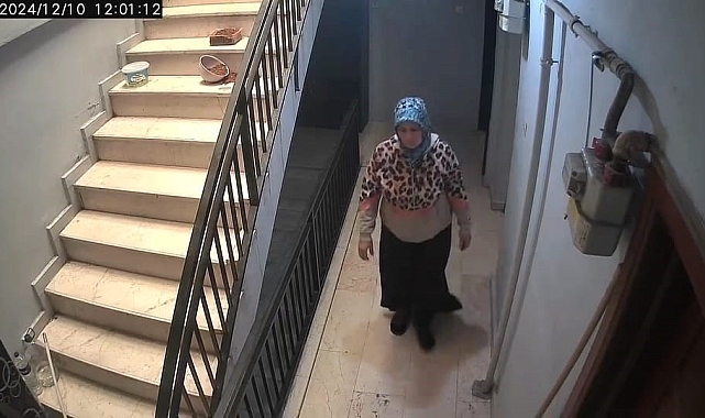 Hırsızı köpek engelledi