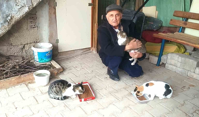 Hisarcık'ın İyi Kalpli Bekçisi: Sokak Kedilerinin Meleği